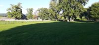 20250918_172940.jpg